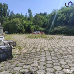 Lokal Sosnowiec 850m2
