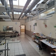 Hala produkcyjna, pomieszczenia usługowe