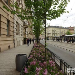Stare Miasto - lokal parter 145m2 kancelaria /gabinety