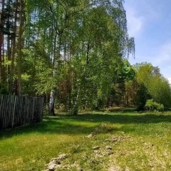 Wynajmę, Wydzierżawię działke w IŃSKU.