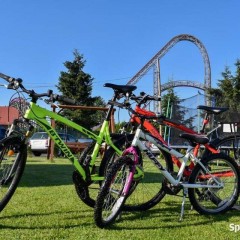 Domek Sferyczny na wynajem w Boże Ciało