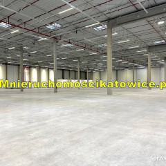 Magazyn do wynajęcia z regałami Katowice przy A4 rampy, bramy "0" biura so…