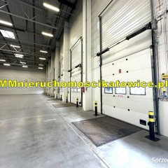 Magazyn do wynajęcia z regałami Katowice przy A4 rampy, bramy "0" biura so…