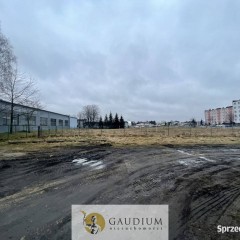 Działka na wynajem w centrum Starogardu Gdańskiego