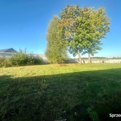 Lokal Strawczyn 120m2
