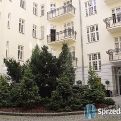 Lokal do wynajęcia Warszawa 172m2