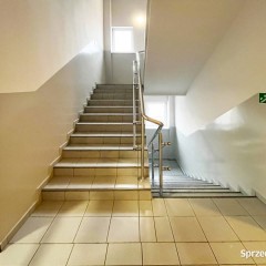 Lokal Białystok 28m2