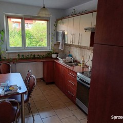 Mieszkanie 2-pok + kuchnia, balkon, piwnica, Krzyki, os Gaj