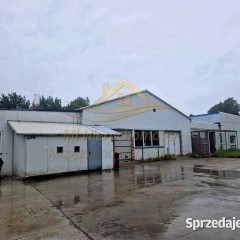 Lokal 780m2 Chlebnia