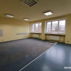 Lokal Kielce 55m2