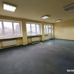 Lokal Kielce 55m2