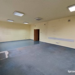 Lokal Kielce 55m2