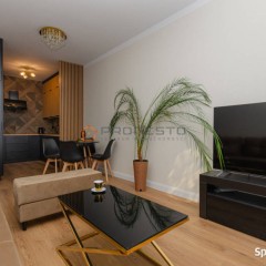 Dwupokojowy apartament o powierzchni 45 m2