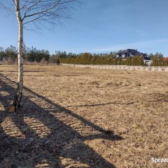 Dzierżawa pod hale, skład, firmy logistycznej etc