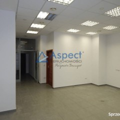 Wynajem, Pomorzany, lokal 68 m2, gastronomia OK