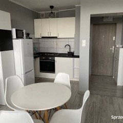 1pok, 27met, okolice Strzegomskiej BALKON/WINDA (Wrocław)