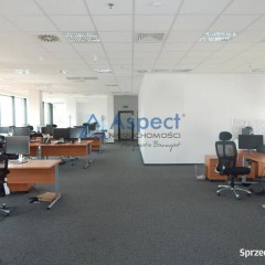 Lokal wynajmę Szczecin 300m