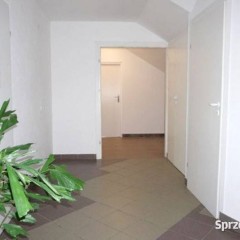 Lokal Blizne 65m2