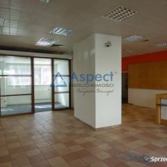 Lokal w ruchliwym miejscu, 174 m2, Pomorzany