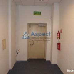 Lokal w ruchliwym miejscu, 174 m2, Pomorzany