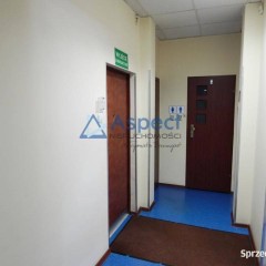 Wynajem, lokal 41 m2, Centrum/Śródmieście