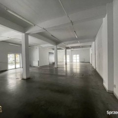 Lokal na wynajem 230m2 Cieszyn