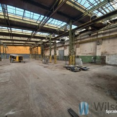 Do wynajęcia lokal 600m2 Wrocław