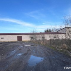 Lokal 520m2 Białystok