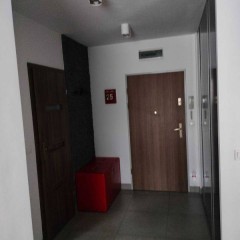 2pok, 50met, Okolice Kamieńskiego BALKON/2012 (Wrocław)