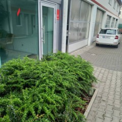 Ogłoszenie lokal Sękocin Stary 330 metrów