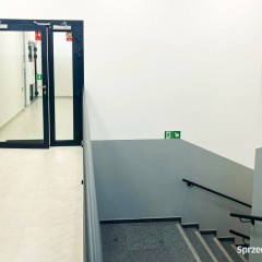 Ogłoszenie lokal Białystok 300m2
