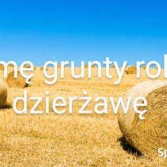 Wydzierżawię grunty rolne, łąki