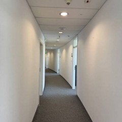 Lokal Warszawa Aleja Niepodległości 50m2