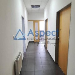 Lokal Szczecin 240m2