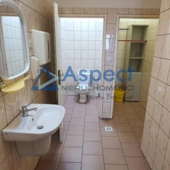 Lokal Szczecin 240m2