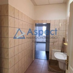 Lokal Szczecin 240m2