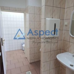 Lokal Szczecin 240m2