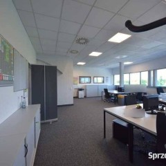 Wynajem biura Opole Śródmieście, 100 m2