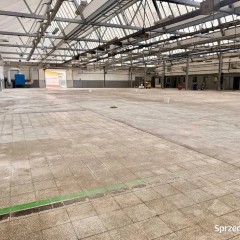 Lokal Kielce 1645m2