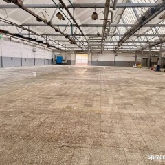 Lokal Kielce 1645m2