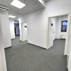 Ogłoszenie lokal Warszawa Szyszkowa 89m