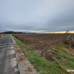Pole uprawne 2.5ha