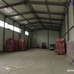 Lokal wynajmę Katowice 350m2