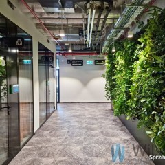 Wynajem lokalu 120m2 Warszawa