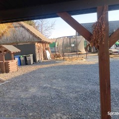 Wynajme domek 75m2