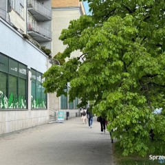 Lokal do wynajęcia Warszawa 146m2