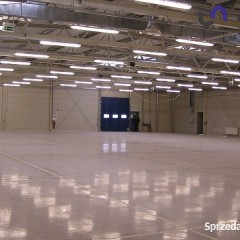 Lokal 1500m2 Gliwice