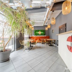 Oferta wynajmu lokalu 75m2 Kraków Borkowska