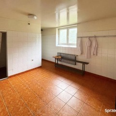 Oferta wynajmu lokalu Białystok 450m2