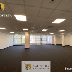 Lokal DUŻY w Centrum Gdyni !!